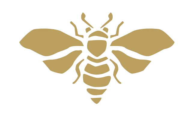 Can you eat CBD gummies every day?